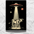 Cosmic Cow