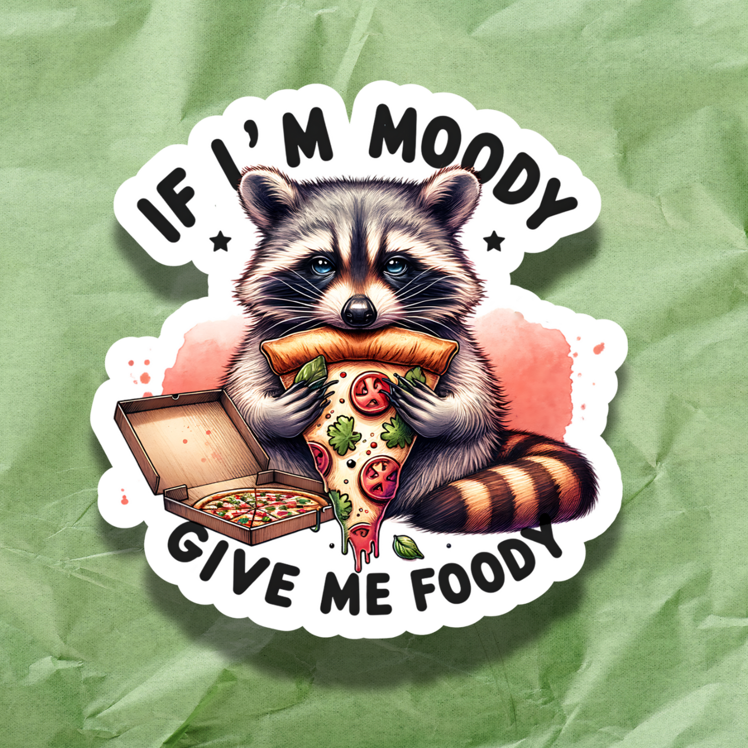 If I'm Moody, Give Me Foody- Raccoon