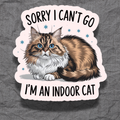 Indoor Cat