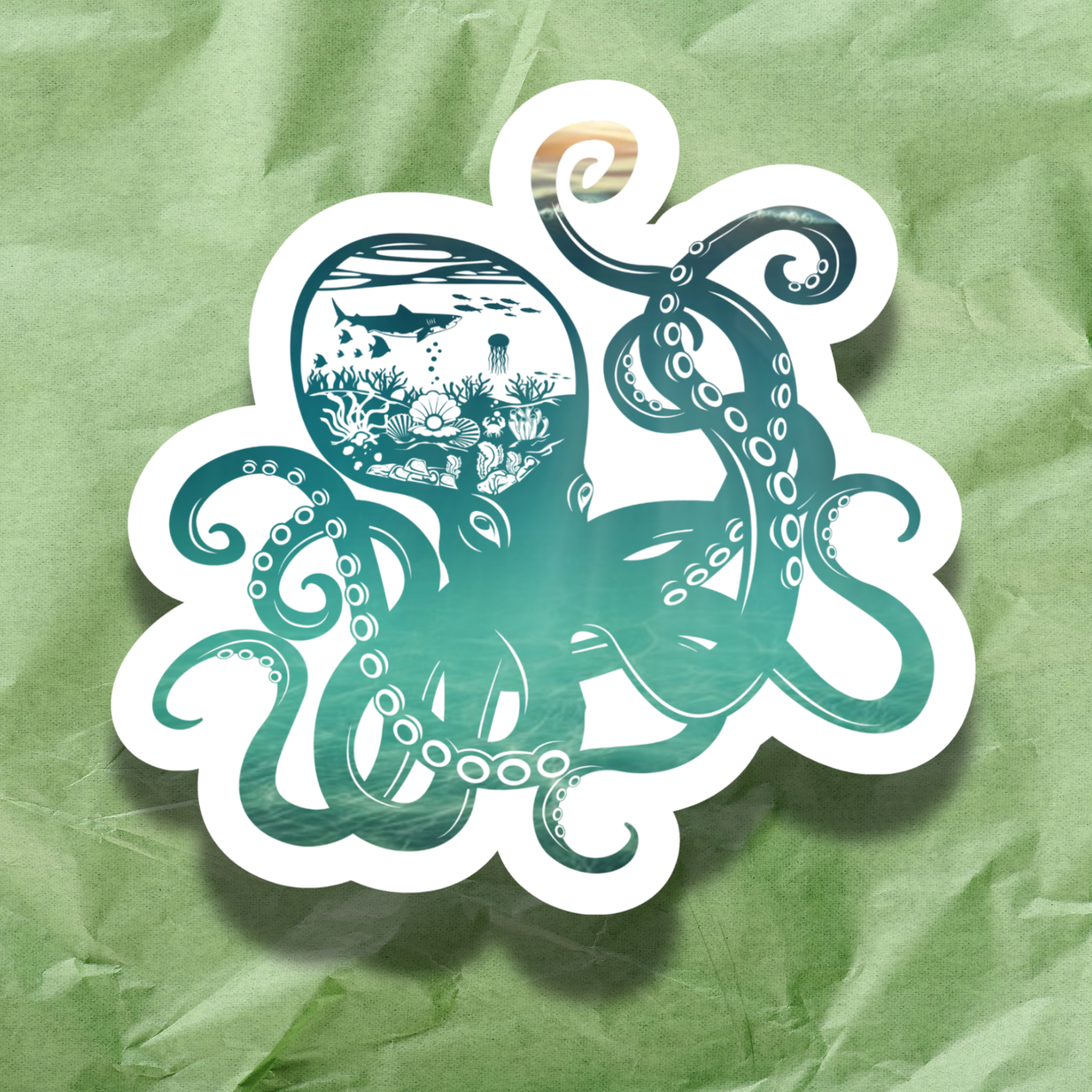 Octopus Sea Life